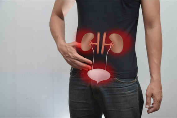 Simple Ways to Keep Your Kidneys Healthy