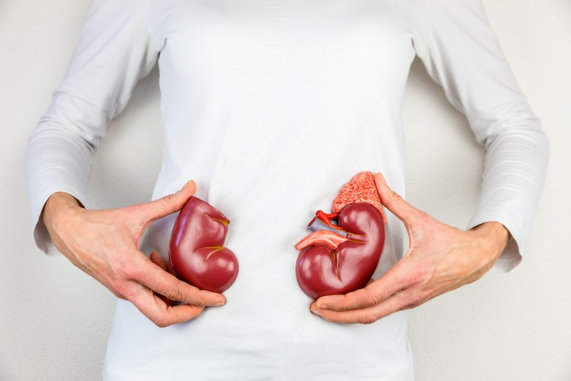 Habits That Can Damage the Kidneys